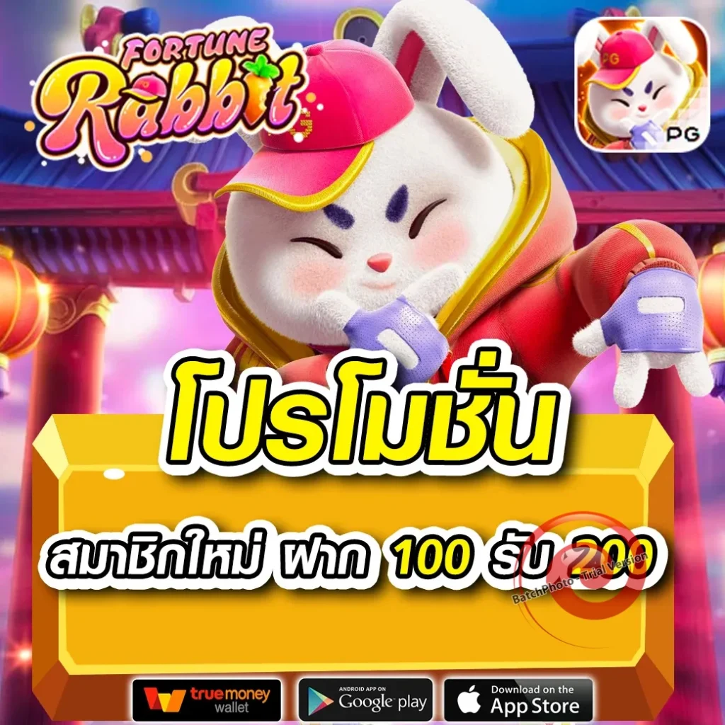 Ocean VIP thai